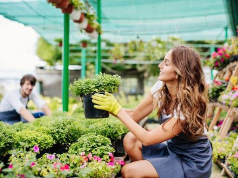 Crédit travaux : l'aménagement du jardin